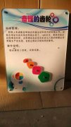 壁挂式科技展品科普器材教学仪器-齿轮